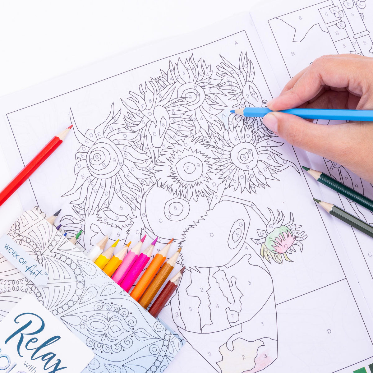 Advanced Adult Colouring Book with 20 Colouring Pencils A4 Colour by Numbers Masterpieces Art Set Gift Etsy